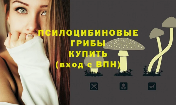 трава Карпинск