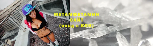 трава Карпинск