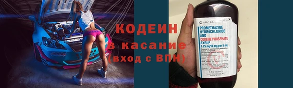 трава Карпинск