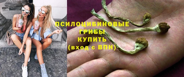 ALPHA PVP Киреевск