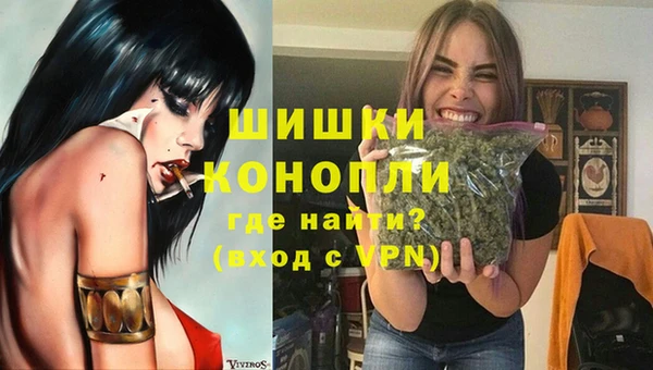 трава Карпинск