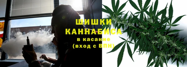 трава Карпинск