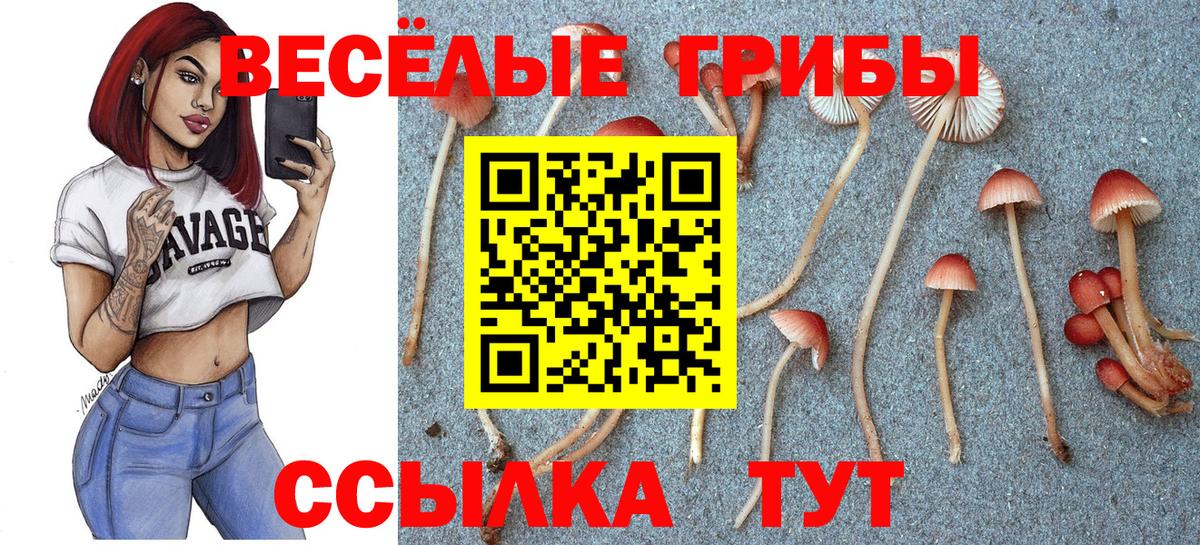 Лабытнанги  Галлюциногенные грибы мухоморы  Вход с VPN  Галлюциногенные грибы Psilocybe 