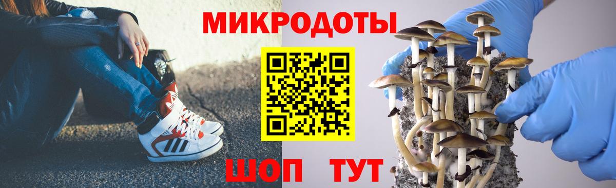 Псилоцибиновые грибы Magic Shrooms Лабытнанги
